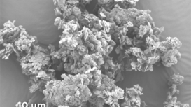 boron nitride modified platelet powder micrograph