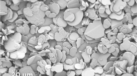 hexagonal boron nitride platelet powder