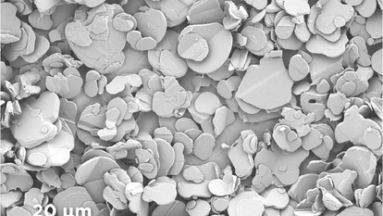 hexagonal boron nitride platelet powder