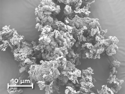 boron nitride modified platelet powder micrograph